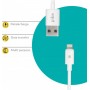 Кабель Piko CB-UL10 USB - Lightning (M/M), 0.2 м, White (1283126493836)