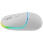 Купить ᐈ Кривой Рог ᐈ Низкая цена ᐈ Мышь беспроводная Canyon MW-22 Dual Band RGB Wireless Snow White (CNS-CMSW22SW)