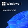 Microsoft Windows 11 Professional 64Bit Eng Intl 1ПК DSP OEI DVD (FQC-10528) Купить Кривой Рог