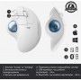 Купить ᐈ Кривой Рог ᐈ Низкая цена ᐈ Мышь Bluetooth Logitech Ergo M575 White (910-005870)