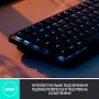 Купить ᐈ Кривой Рог ᐈ Низкая цена ᐈ Клавиатура беспроводная Logitech MX Mechanical Mini Bluetooth Illuminated Graphite (920-0107