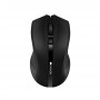 Купить ᐈ Кривой Рог ᐈ Низкая цена ᐈ Мышь беспроводная Canyon CNE-CMSW05B Black USB