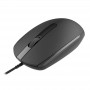 Купить ᐈ Кривой Рог ᐈ Низкая цена ᐈ Мышь Canyon CNE-CMS10B Black USB
