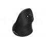 Купить ᐈ Кривой Рог ᐈ Низкая цена ᐈ Мышь беспроводная Canyon CNS-CMSW16B Black USB