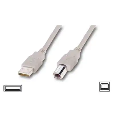 Купить Кабель ATcom USB 2.0 AM/BM 1.8 м. ferrite core, пакет Кривой Рог