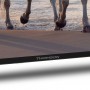 Купить ᐈ Кривой Рог ᐈ Низкая цена ᐈ Телевизор Thomson Android TV 43" UHD 43UA5S13