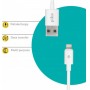 Купить ᐈ Кривой Рог ᐈ Низкая цена ᐈ Кабель Piko CB-UL10 USB - Lightning (M/M), 0.2 м, White (1283126493836)