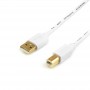 Купить ᐈ Кривой Рог ᐈ Низкая цена ᐈ Кабель Atcom USB - USB Type-B V 2.0 (M/M), 0.8 м, белый (14370)