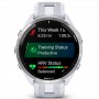 Смарт-годинник Garmin Forerunner 965 Titanium Bezel with Whitestone Case and Whitestone/Powder Gray Silicone Band (010-02809-81)