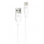 Купить ᐈ Кривой Рог ᐈ Низкая цена ᐈ Кабель ACCLAB PwrX USB - USB Type-C (M/M), 30 W, 1.2 м, White (1283126559532)