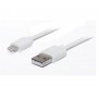 Купить ᐈ Кривой Рог ᐈ Низкая цена ᐈ Кабель REAL-EL USB - Lightning (M/M), 1 м, белый (EL123500033)