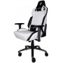 Купить ᐈ Кривой Рог ᐈ Низкая цена ᐈ Кресло для геймеров 1stPlayer DK2 Black-White