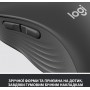 Купить ᐈ Кривой Рог ᐈ Низкая цена ᐈ Мышь беспроводная Logitech Signature M650 L (910-006236) Graphite USB