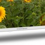 Телевизор Thomson Android TV 32" HD White 32HA2S13W