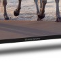 Телевизор Thomson Android TV 43" UHD 43UA5S13