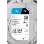 Купить ᐈ Кривой Рог ᐈ Низкая цена ᐈ Накопитель HDD SATA 1.0TB Seagate SkyHawk 5400rpm 256MB (ST1000VX013)