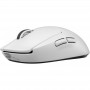 Купить ᐈ Кривой Рог ᐈ Низкая цена ᐈ Мышь беспроводная Logitech G Pro X Superlight 2 White (910-006638)