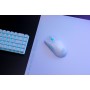 Купить ᐈ Кривой Рог ᐈ Низкая цена ᐈ Мышь беспроводная Asus ROG Harpe Ace Aim Lab Edition White (90MP02W0-BMUA10)