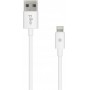 Купить ᐈ Кривой Рог ᐈ Низкая цена ᐈ Кабель Piko CB-UL10 USB - Lightning (M/M), 0.2 м, White (1283126493836)