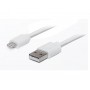 Кабель REAL-EL USB - Lightning (M/M), 1 м, білий (EL123500033)