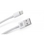 Кабель REAL-EL USB - Lightning (M/M), 1 м, White (EL123500055)