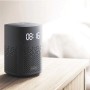 Акустическая система Xiaomi Smart Speaker IR Control (QBH4218GL)